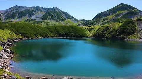 سورة الفلق بصوت القارئ عبد المحسن الحارثي