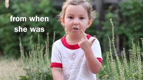 Codeswitching: Cued Speech and American Sign Language