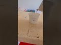 #coding
