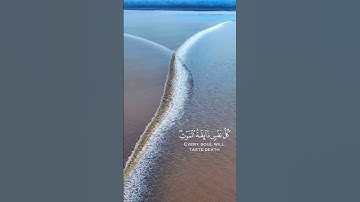 سورة العنكبوت #إكتئاب #حزن_هموم #ضيقه #loveallah #quran #تلاوة_خاشعة #قرآن #ايات #تحقيق_الأهداف