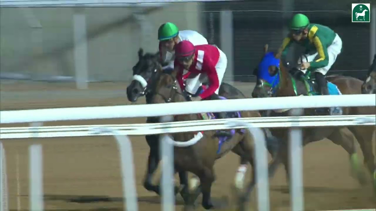 الشوط التاسع للحفل 2 بموسم سباقات الطائف