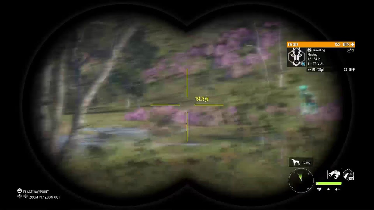 The Hunter: COTW Competition Hunting | Grouse Fever