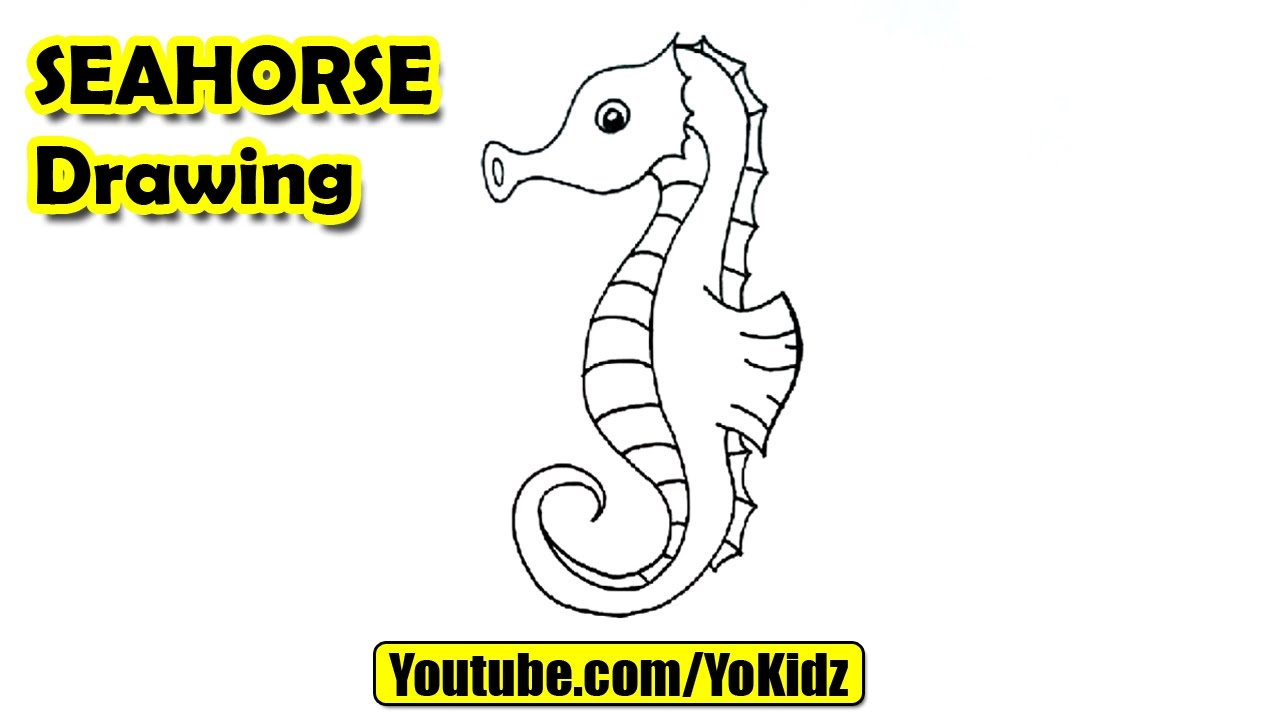 how to draw a seahorse step by step