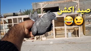 فرينه  ..S.. الحمر كله  واحله مطيار لعيون الابطال