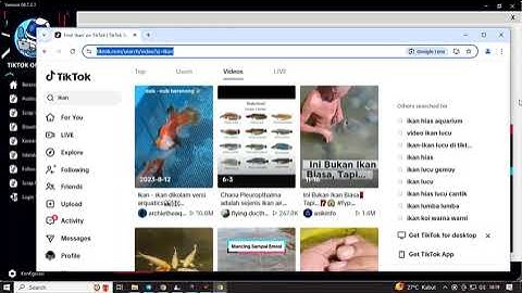 🎵 DEMO FITUR SCRAPE VIDEO TOOLS TIKTOK ONETOBOT