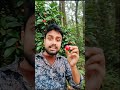 जंगल मे खाना Ai video @aividiotu #aishorts #aivideo @officialmithupandey @aividiotu #ai