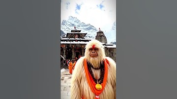 🐒 AI monkey Vlogger | Monkey Vlogs #aimonkey #monkeytraveller #aimokeyvlogger #aivideogeneratorfree