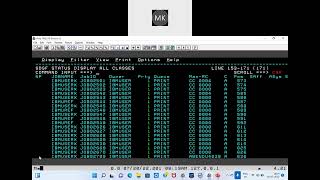 8 Mainframe cobol Initlialize and filler