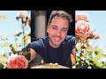 ❤LUCAS GUIMARÃES FINAL DE NOITE❤