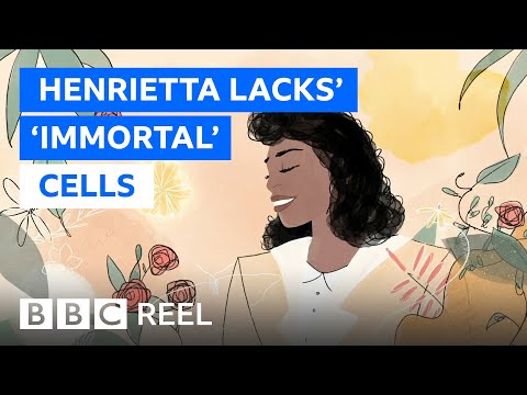 Henrietta Lacks: „Nesmrteľné“ bunky, ktoré zmenili svet – BBC REEL