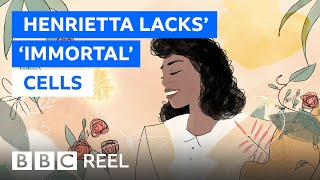 Henrietta Lacks The Immortal Cells That Changed The World - Bbc Reel