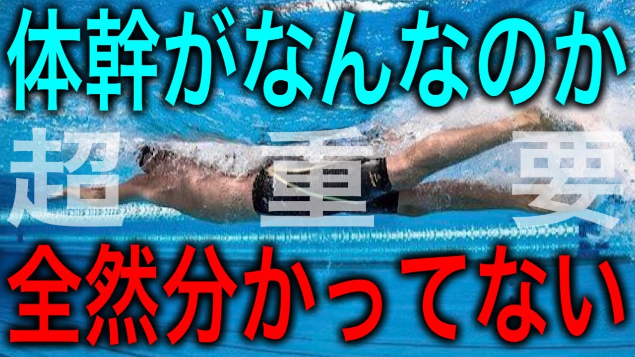 【水泳】体幹の意味分かってないインストラクターもいるので解説します
