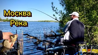 Ловля ЛЕЩА на Москва реке. Май 2024 #рыбалка #фидер