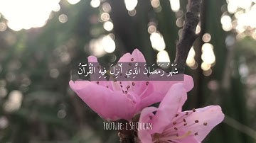 تلاوة حجازية "شهر رمضان الذي انزل فيه القرآن" بصوت القارئ الشيخ عبدالرحمن المسعودي.