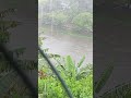 #shortsviral #muitachuvaabencoada☂️☂️☂️