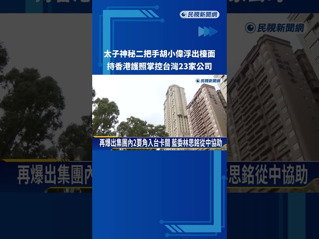 太子神秘二把手胡小偉浮出檯面 掌控台灣23家公司－民視新聞