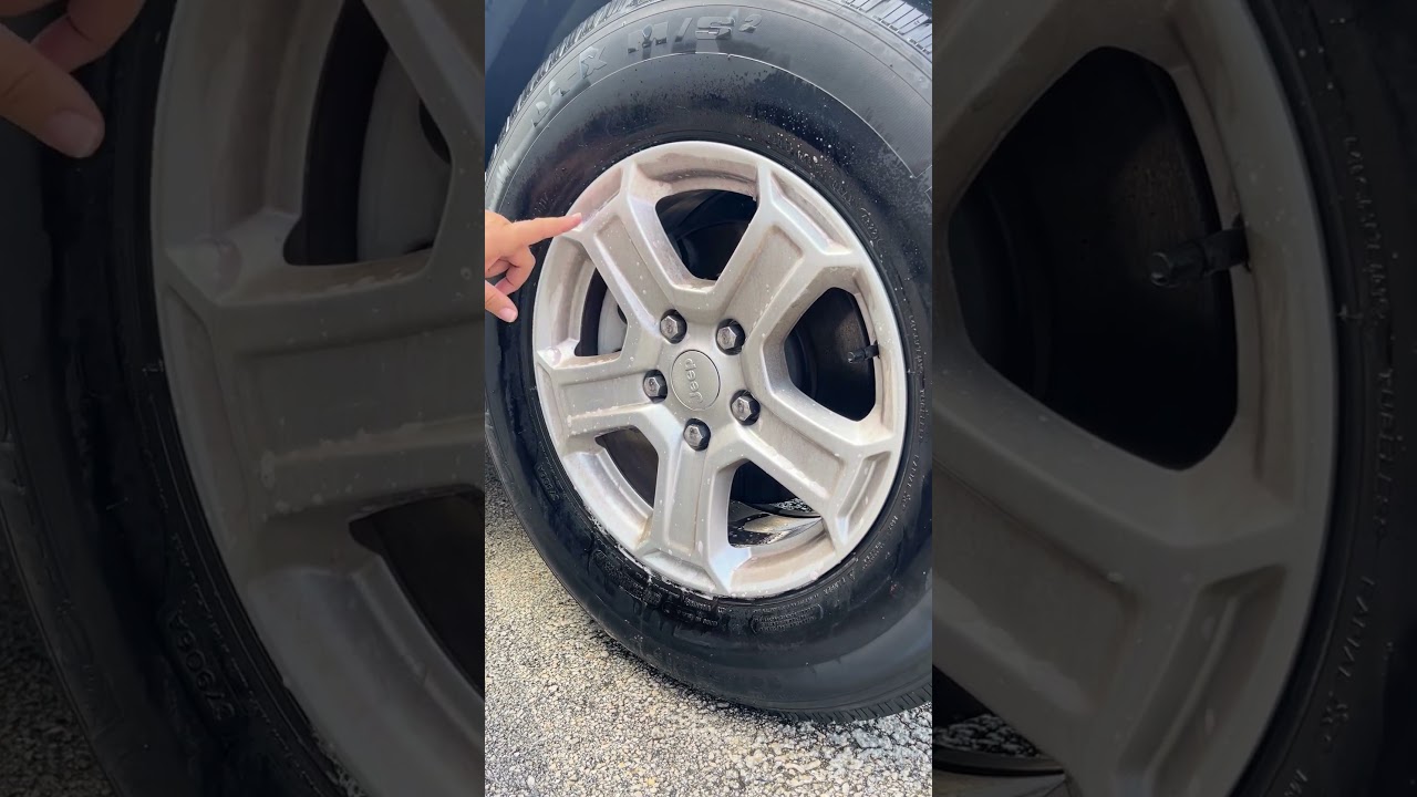 Dub Boyz Iron Skunk | Purple Power Wheel Decontamination 