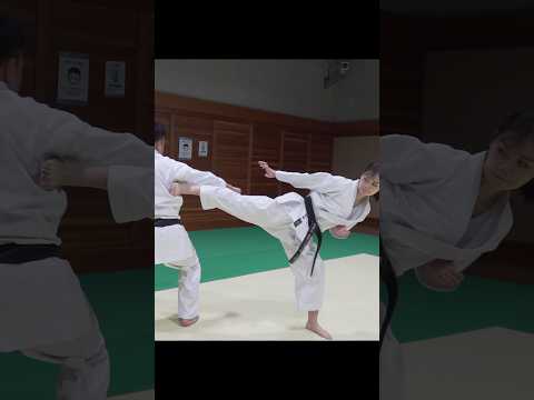 Side kick to the armpit! Okinawa Karate!