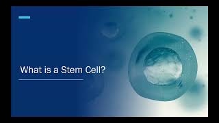 Autologous Stem Cell Transplant: Timeline, Procedure, and Recovery