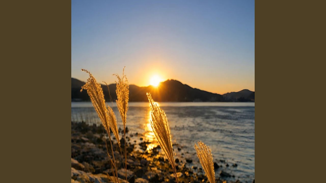 Footprints in the Sand