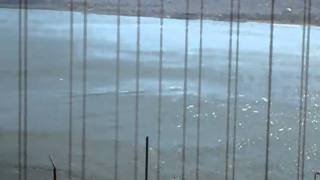 GOLDEN GATE.AVI