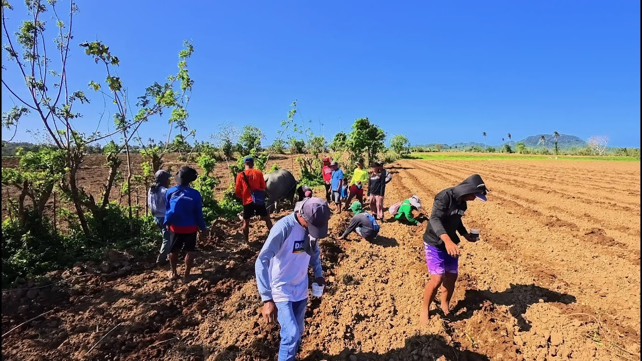 DAMING TAO NG KAPIT BUKID
