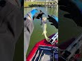 20 feet from home dock #bass #angler #bassboats #curadodc #fishboat  #fishinggear #fishingequipment