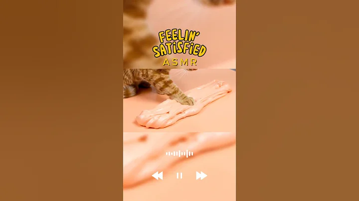 Watch the video about Siamese Cat vs Jelly Slime! Drippy Satisfying ASMR Sounds 🐾💦