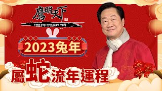 肖蛇 2023兔年全年運程 | 事業 愛情 健康 財運 每月運程 | 《鷹明天下2023》