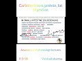 How Your Body REALLY Digests Food (Carbs, Protein, Fat)