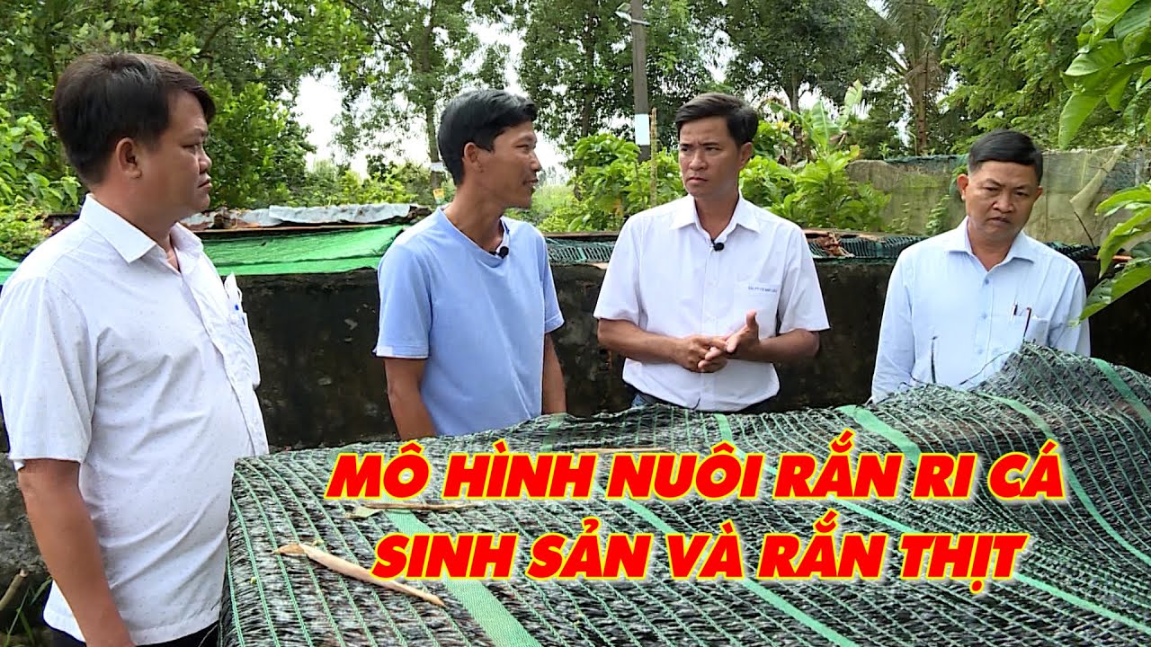 Mô hình nuôi rắn ri cá sinh sản và rắn thịt | Thủy sản