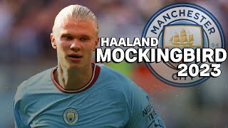 Erling Haaland • Eminem - Mockingbird • Skills & Goals • HD