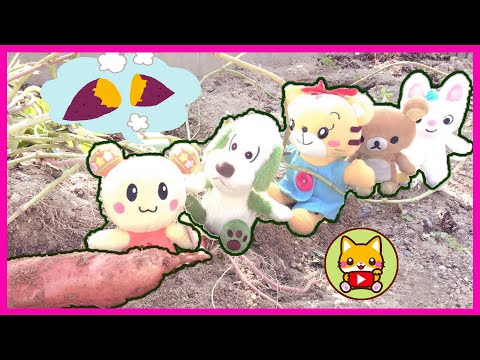 🧡うーたん わんわん いないいないばあっ！動画☆ - YouTube