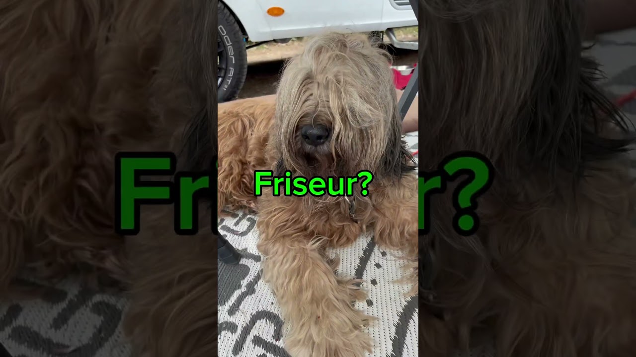 Wohnmobil Stellplatz FKK Camping Rene Oltra Cap d‘Agde 