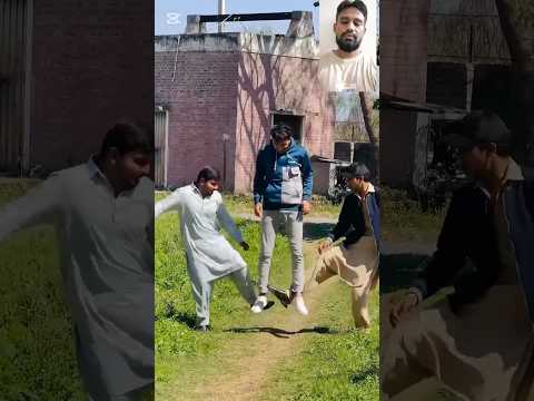 funny video #shorts #shortsfeed #funny