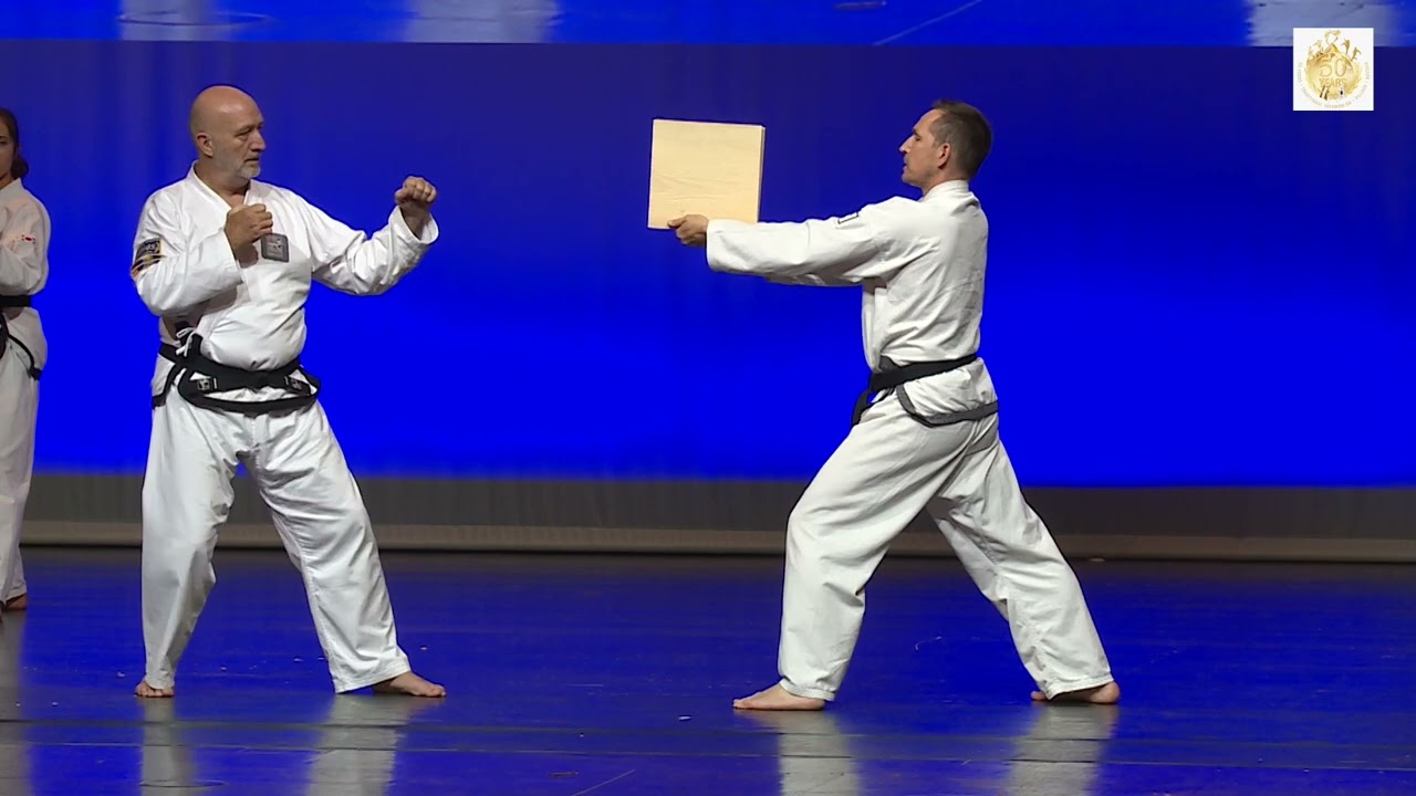 50 Jahr Jubiläum Villach   Frankreich