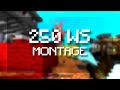 250 WS MONTAGE