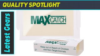 Pest Glue Trap by Catchmaster - Best Non-Toxic Solution for Rodents & Insects