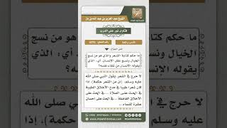الآداب واللغة - نور على الدرب - الشيخ عبد العزيز ابن باز - مشروع كبار العلماء