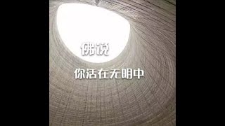 201310 佛说　你活在无明中30142