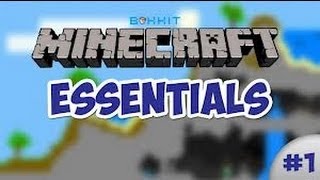 How to use and install essentials and GroupManager