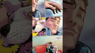 Superboy prime vs the darkest knight : who won?