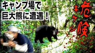 キャンプ場で巨大熊に遭遇！軽トラキャンパー24時 大ピンチ！