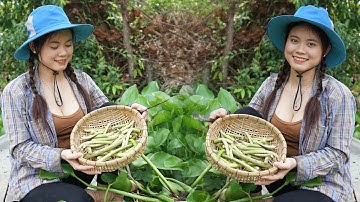 Cùng Bích Hương Hái Lục Bình Nấu Canh Chua Cá Lóc, Và Dưa Ngó Lục Bình