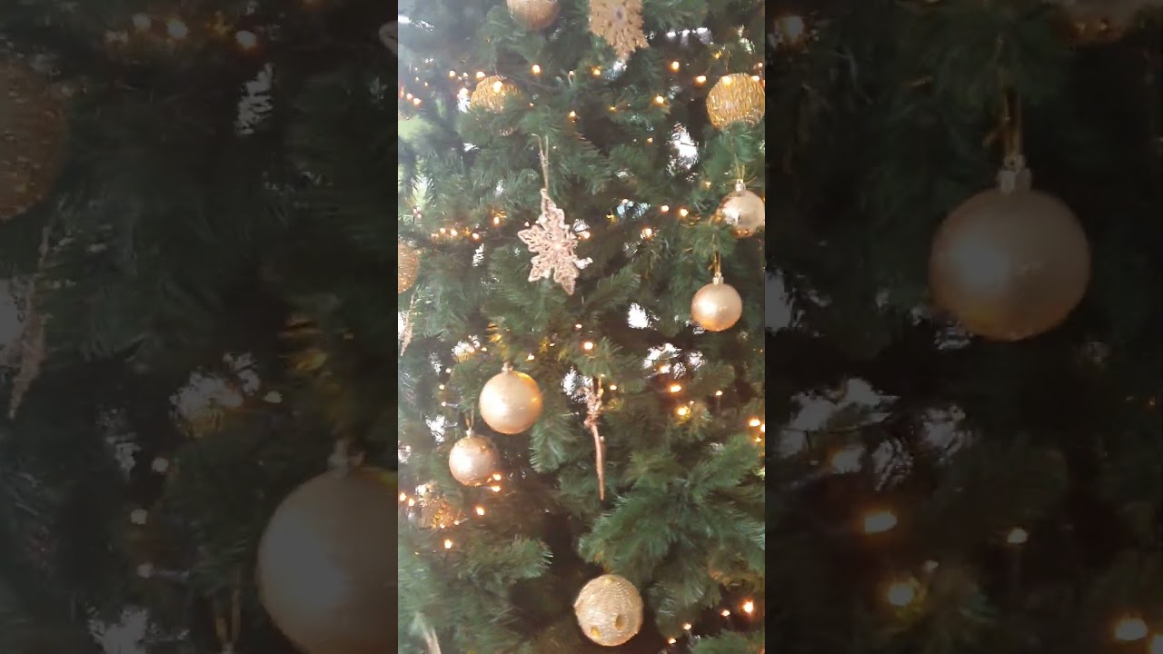 Новый 2024 год в ЦОПе