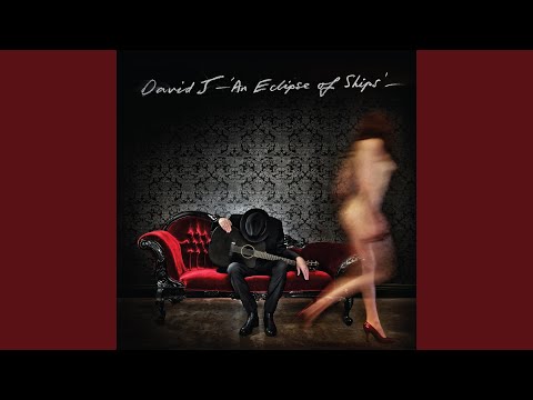 David J — Little Miss Impeccable