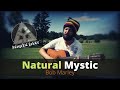 Bob Marley -  Natural Mystic - Live Acoustic Cover by Laurent Yvan Francis