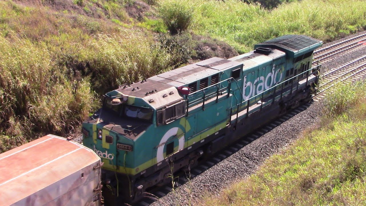 Trem da Suzano carregado com celulose passando por Dona Catarina