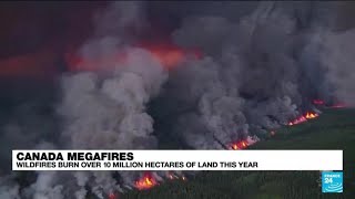 As climate warms and world's forests 'dry out', wildfires 'burn more severely' & for longer periods