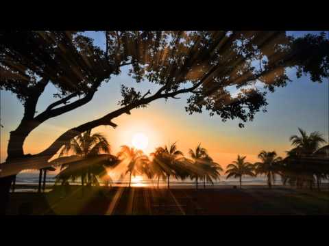 Sunlight Project - Golden Shores ( 2017 Sunlight Respray )